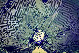 解碼張江創新密碼 從2018上海科技進步報告看軟件開發的奮進足音